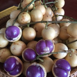 📣 CẦN GẤP 1 CÔ GIÚP VIỆC NHÀ 🏡   LH 0966529171 NHẬN VIỆC NGAY