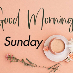 Chủ nhật cuối tuần rồi các chị gái ơi, tranh thủ qua em Ngọc sớm để đi làm sớm nha