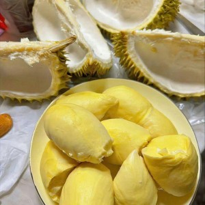 Tuyển gấp 1 cô nấu cho gđ em ạ