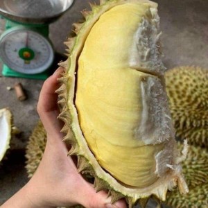 Nhà em đang cần gấp 1 chị đến dọn dẹp và lau chùi dọn dẹp nhà cửa tại SG nha 