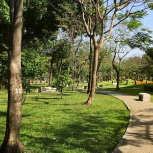Em Đang Cần Gấp Một Cô Giúp Việc Nhà