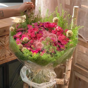 Nhà Em Còn Bận Rộn Nhiều Việc Nên Rất Cần 1 Chị Nào Nhanh Nhẹn Đến Phụ Giúp Em 1 Tay Nha