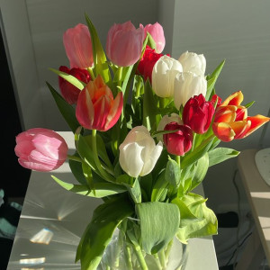 NHÀ EM  ĐANG CẦN GẤP 1 CÔ GIÚP VIỆC NHÀ BAO ĂN Ở ( KHÔNG YÊU CẦU KINH NGHIỆM)