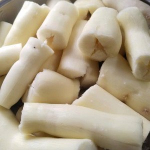 Tuyển Gấp 1 Cô Chuyên Chăm Bé Ạ