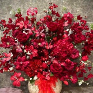 Tuyển gấp 1 cô chuyên chăm bà ạ