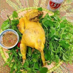 TÌM GẤP 1 CHỊ VỀ DỌN DẸP NHÀ CỬA + NẤU ĂN Ở QUẬN 5