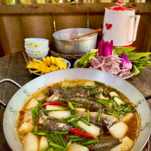 Gần chợ an đông quận 5, em tìm gấp chị giúp việc nhà đi làm ngay với mức lương từ 12 triệu trở lên