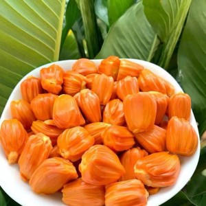 📣 CẦN CÔ GIÚP VIỆC NHÀ – PHỤ CHĂM BÉ 🏡 LH 0966529171