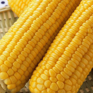 Cô nào thực sự cần việc đi làm ngay thì alo em nha