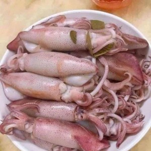 Gia đình em đang cần gấp ạ