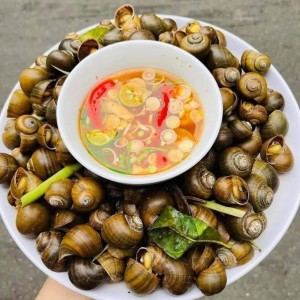 𝑪𝒉𝒊𝒆̂̀𝒖 𝒏𝒂𝒚 𝒆𝒎 𝒕𝒊̀𝒎 1 𝒄𝒉𝒊̣ 𝒈𝒊𝒖́𝒑 𝒗𝒊𝒆̣̂𝒄 𝒂̆𝒏 𝒐̛̉ 𝒕𝒂̣𝒊 𝒏𝒉𝒂̀ 𝒗𝒐̛́𝒊 𝒎𝒖̛́𝒄 𝒍𝒖̛𝒐̛𝒏𝒈 12𝒕𝒓𝒊𝒆𝒖 𝒃𝒂𝒐 𝒂̆𝒏 𝒐̛̉