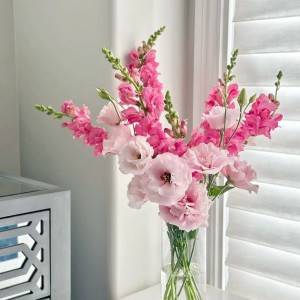 Công việc quá trơi bận rộn rồi nên vợ chồng e rất cần chị về phụ việc nhà cửa