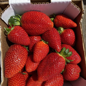 EM CẦN MỘT CÔ SIÊNG NĂNG VỀ GIÚP VIỆC NHÀ CHO GIA ĐÌNH Ở NGUYỄN TRÃI QUẬN 5