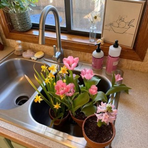 𝑵𝑯𝑨̀ 𝑬𝑴 𝑶̛̉ 𝑻𝑹𝑬̂𝑵 Đ𝑼̛𝑶̛̀𝑵𝑮 𝑽𝑶̃ 𝑻𝑯𝑰̣ 𝑺𝑨́𝑼 𝑸𝑼𝑨̣̂𝑵 3 - 𝑪𝑨̂̀𝑵 𝑻𝑰̀𝑴 𝑮𝑨̂́𝑷 𝑪𝑶̂ 𝑮𝑰𝑼́𝑷 𝑽𝑰𝑬̂𝑪 𝑵𝑯𝑨̀ 𝑳𝑼̛𝑶̛𝑵𝑮 𝑪𝑨𝑶