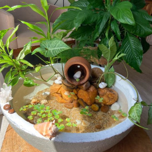Sáng Nay Em Cần Tìm Một Chị Về Trông Coi Nhà Tại Bến Văn Đồn Quận 4
