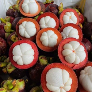 TUYỂN CÔ GIÚP VIỆC NHÀ – QUẬN 8_LH 0966529171