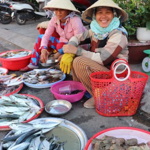 Em chào các cô, các chị ạ! Em đang cần tìm gấp một cô giúp việc nhà ở khu vực quận 10 đường Vĩnh Viễn