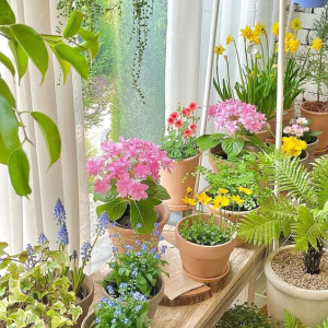 Tìm Cô Về Gvn (bao Ăn Ở) Tại Vạn Kiếp- Bình Thạnh