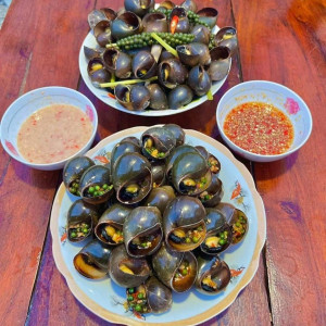 Vợ chồng em đi làm ở văn phòng đến tối mới về, cần cô về làm việc nhà cho vợ chồng em