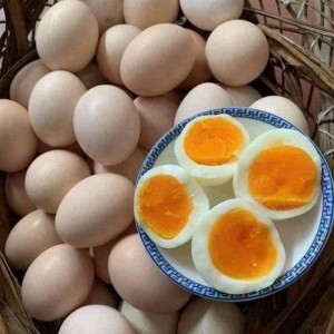 Cô nào thực sự cần việc làm thì cứ alo e nha