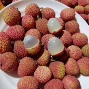 Cần thuê người chăm bé sáng đi chiều về