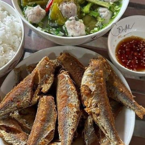 cần gấp cô giúp việc nhà bao ăn ở lại nhận việc ngay