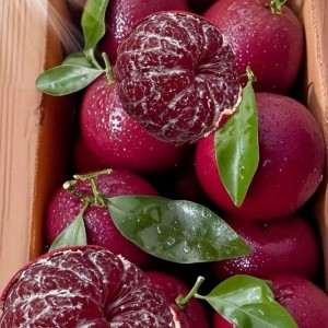 Chính chủ em cần gấp ạ