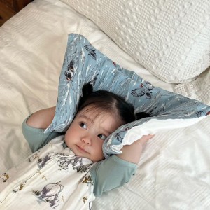 Trong sáng nay em cần tìm gấp 1 chị giúp việc chuyên nấu ăn dọn dẹp BAO ĂN Ở LẠI