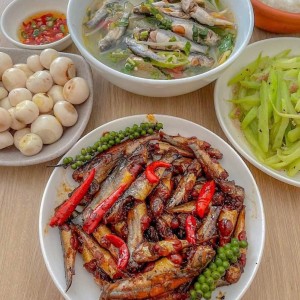 Tuyển cô chăm bà a