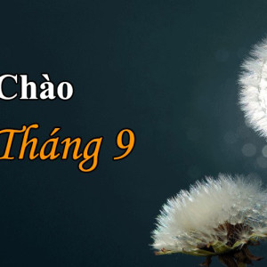 Đầu Tháng Nên gia Đình Con cần Tìm Gấp Cô Giúp Việc Nhà