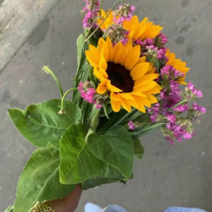 TUYỂN CHỊ VỀ NẤU ĂN VÀ DỌN DẸP NHÀ CỬA . LƯƠNG THÁNG KHỞI ĐIỂM TỪ 11 TRIỆU !!