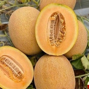 Cần tuyển 1 cô giúp việc ở Vũng Tàu ( đi làm bao ăn ở lại ạ )