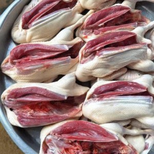 Gia Đình Em Tuyển Gấp Ạ