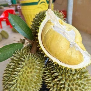 Tuyển gấp cô chăm bé 2 tuổi, bao ăn ở lại Quận 3