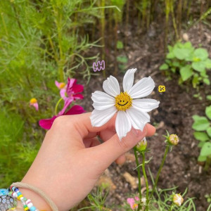 Cần chị về làm việc nhà cho nhà 4 người lớn ở Nguyễn Trãi Quận 5