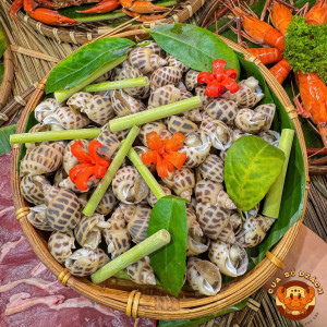 Sáng nay em tìm 1 chị giúp việc ăn ở tại nhà tại đường Lê Đức Thọ Quận Gò Vấp