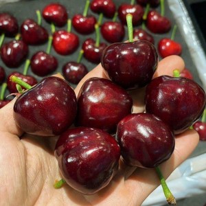 Em đang tuyển gấp ạ
