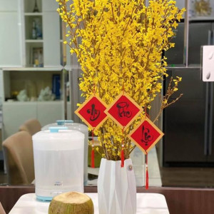 Bình Tân– Cần 1 Chị Phụ Việc Nhà + Nấu Ăn