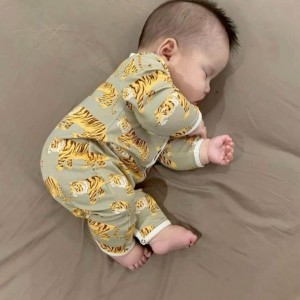 Cần tuyển Gấp 1 chị chăm bé 3 tháng Tại Đường Cao Lỗ Quận 8.