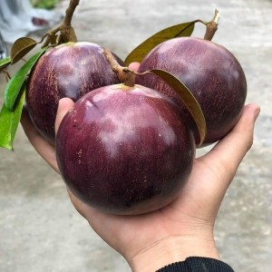 📣 CẦN GẤP CÔ GIÚP VIỆC NHÀ Ở LẠI LH 0966529171