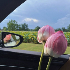 Lương Cao… Lương Cao Nè… E Cần Tìm Chị Giúp Việc Nhà Không Yêu Cầu Kinh Nghiệm !!