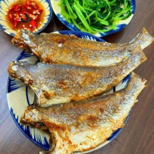 Tuyển Gấp Một Cô Giúp Việc Nhà Mặt Phố Có 1 Trệt Với Gác Lửng Nhỏ Tại Đường Lý Thánh Tông -Tân Phú