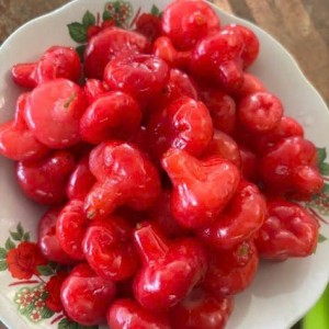 Em đang tuyển gấp ạ