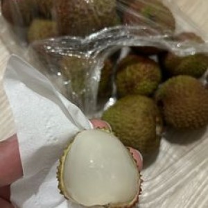 Trong sáng nay em cần tìm gấp 1 chị giúp việc chuyên nấu ăn dọn dẹp BAO ĂN Ở LẠI