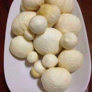📢 Tuyển Gấp Cô Chăm Bà + Phụ Việc Nhà  Củ Chi 👵🏡 Lh 0966529171