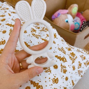 Tuyển Gấp 1 Chị Chuyên Chăm Bé 6 Tháng Ở Chung Cư Phú Mỹ Hưng Quận 7