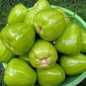 📣 CẦN GẤP CÔ GIÚP VIỆC NHÀ – PHỤ CHĂM BÉ LH 0966529171