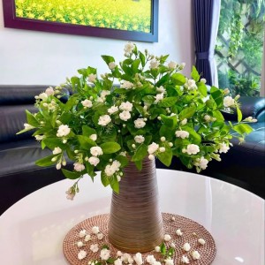 CÒN ĐĂNG LÀ CÒN TUYỂN NHA … Ở  GẦN NHÀ THỜ GIÁO XỨ THANH ĐA. TUYỂN CHỊ GIÚP VIỆC NHÀ LƯƠNG THÁNG 13 TRIỆU