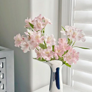 Em chào các cô, các chị ạ! Em đang cần tìm một cô giúp việc nhà làm ăn ở lại cùng gia đình em luôn nha !!