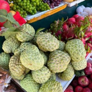 Cô nào lm được alo e